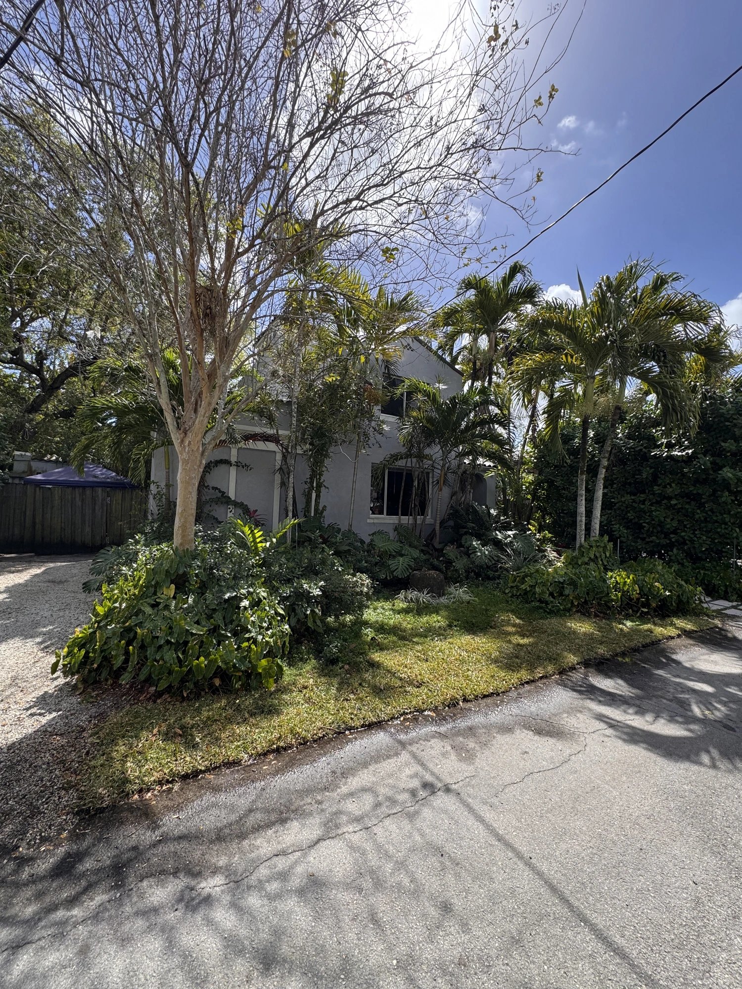 Tropical Front Garden — Garden Installation, Broward County