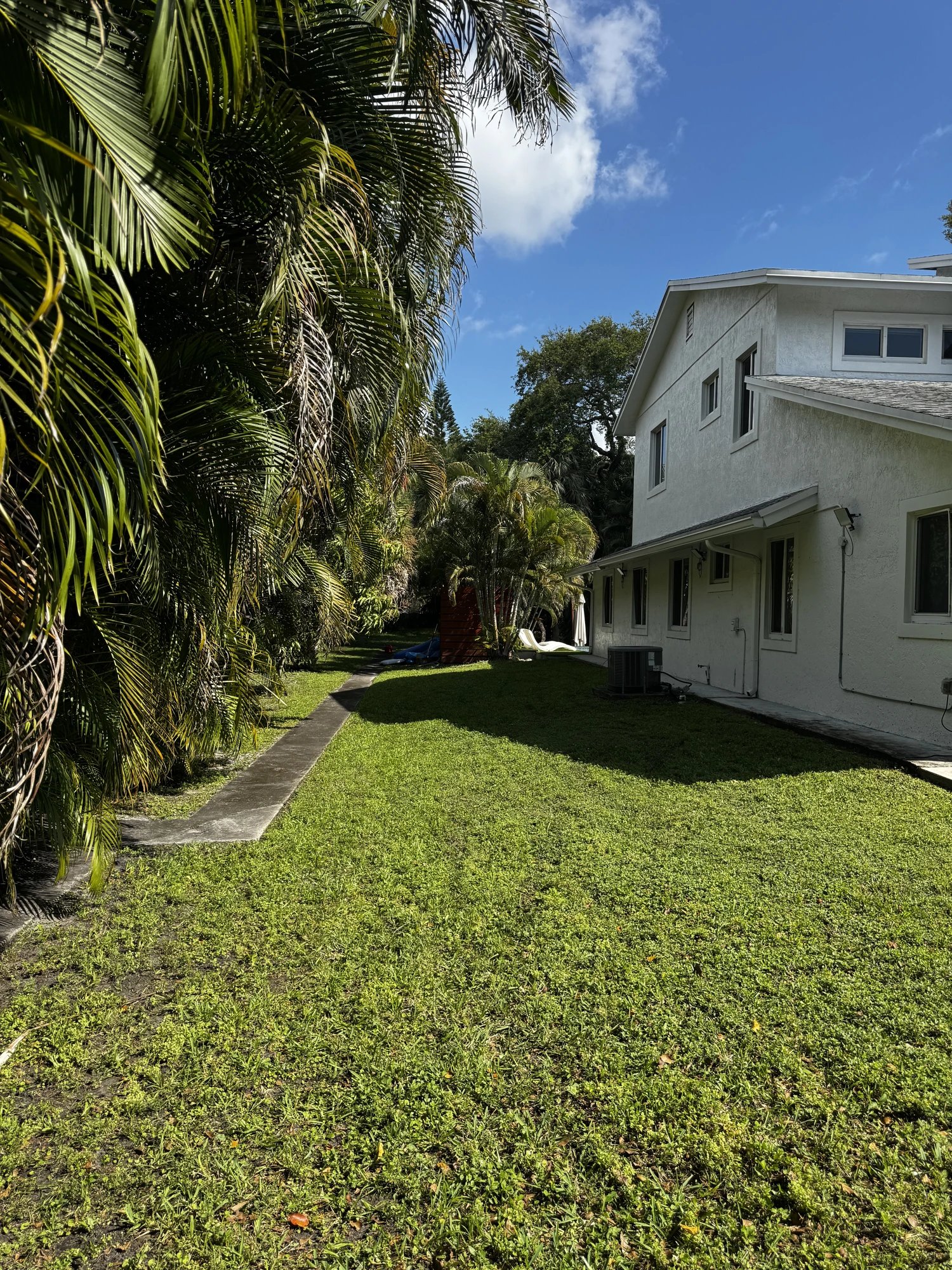 Side-Yard Revival — Lawn & Estate Care, Broward County